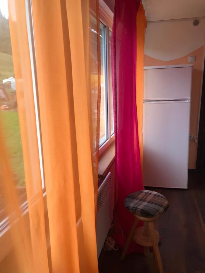 Карпатська Мавка Apartment Ворохта Екстериор снимка